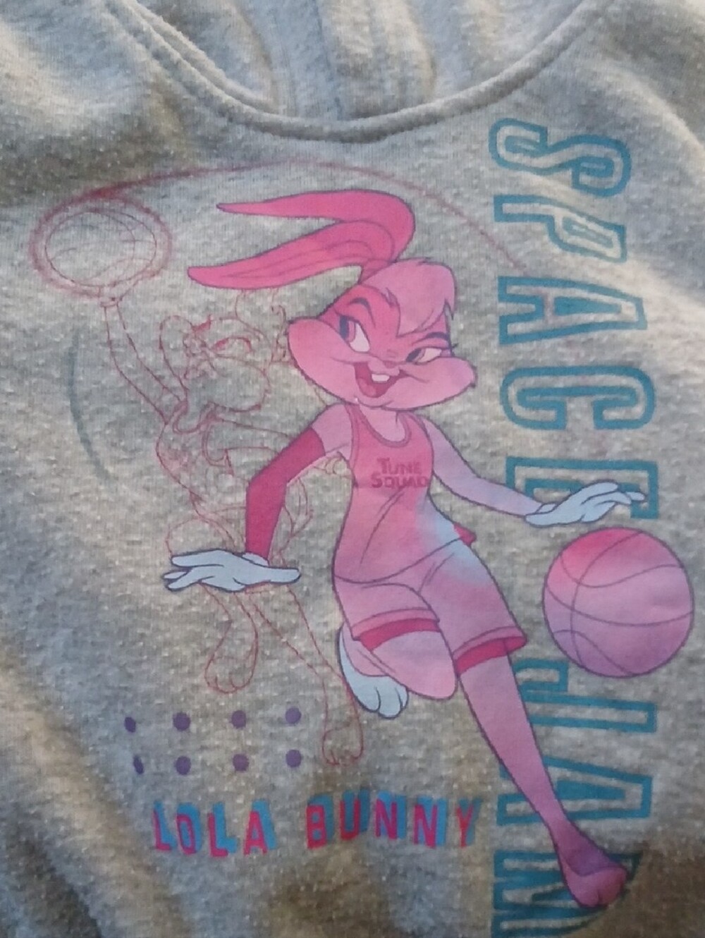 Looney Tunes Lola Bunny Kids Gray Tee with Pink Graphic